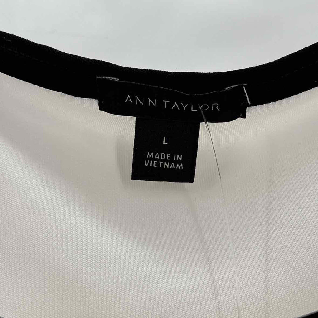 Size L Ann Taylor Ivory Shirt