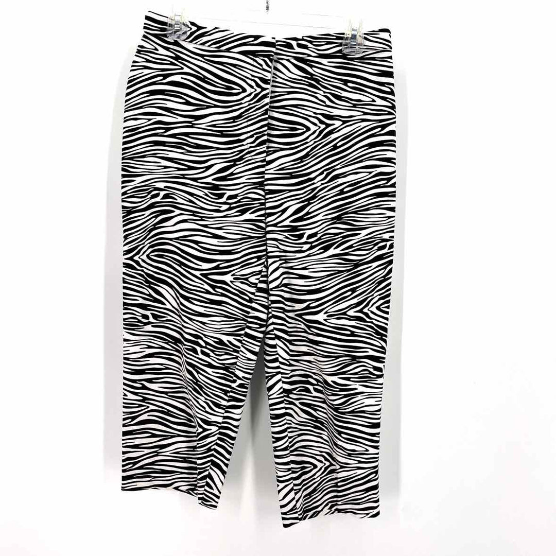 Size 6 SUSAN GRAVER Multi-Color Pants