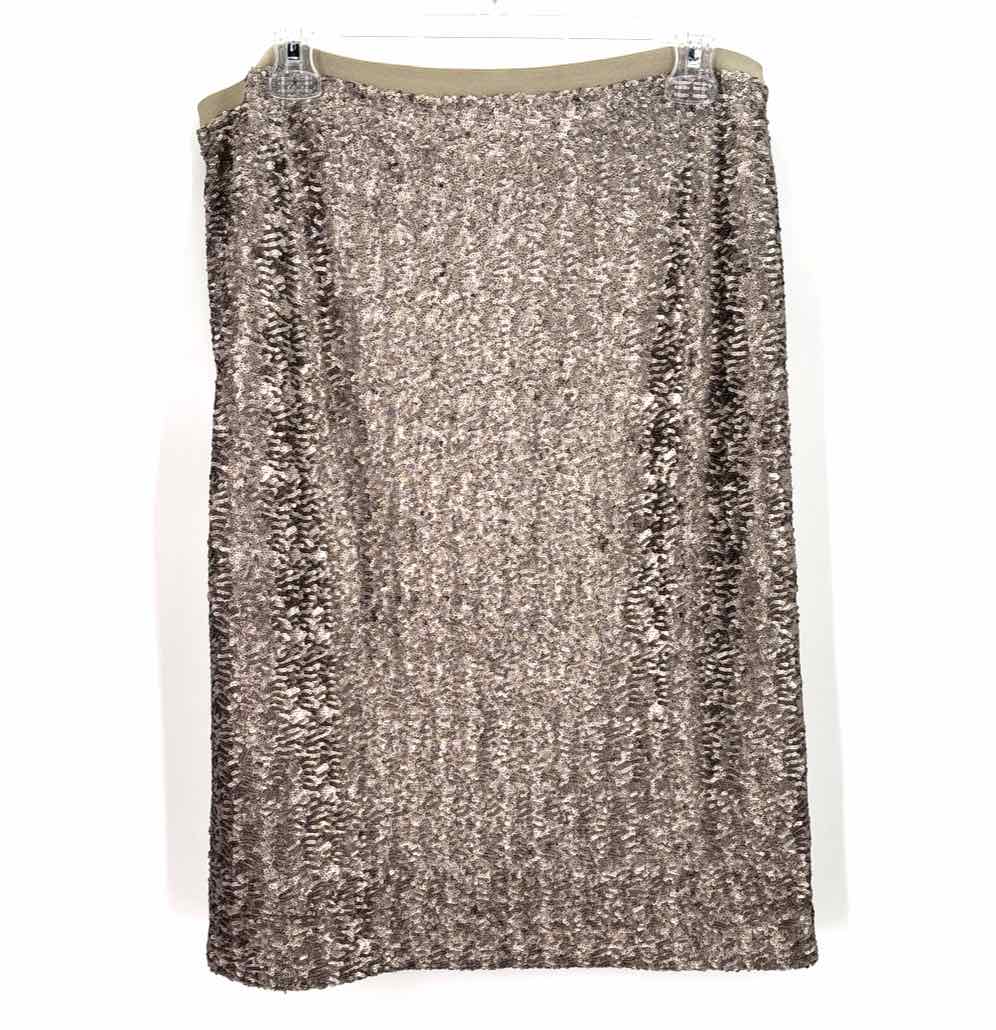 Size M J JILL Silver Skirt