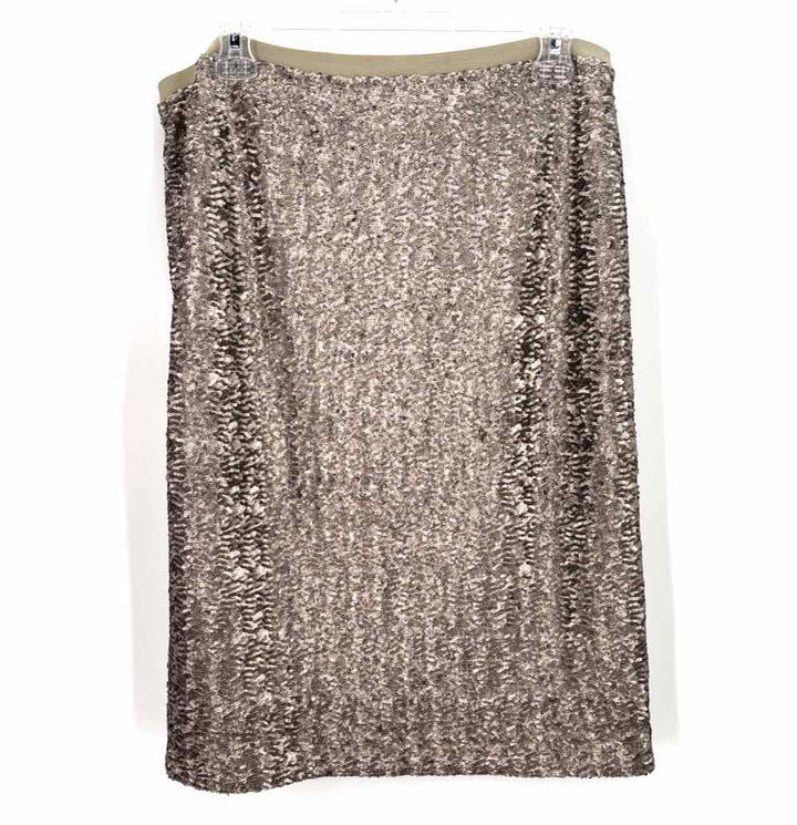 Size M J JILL Silver Skirt