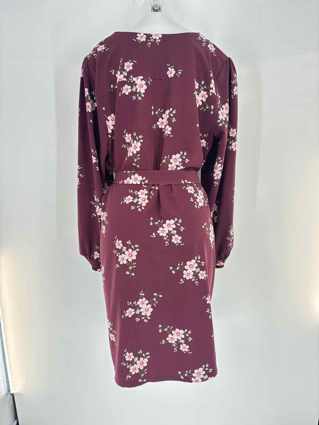 Size 16 Ann Taylor Burgundy Dress