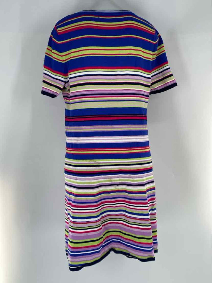 Size 1X Multi-Color Dress