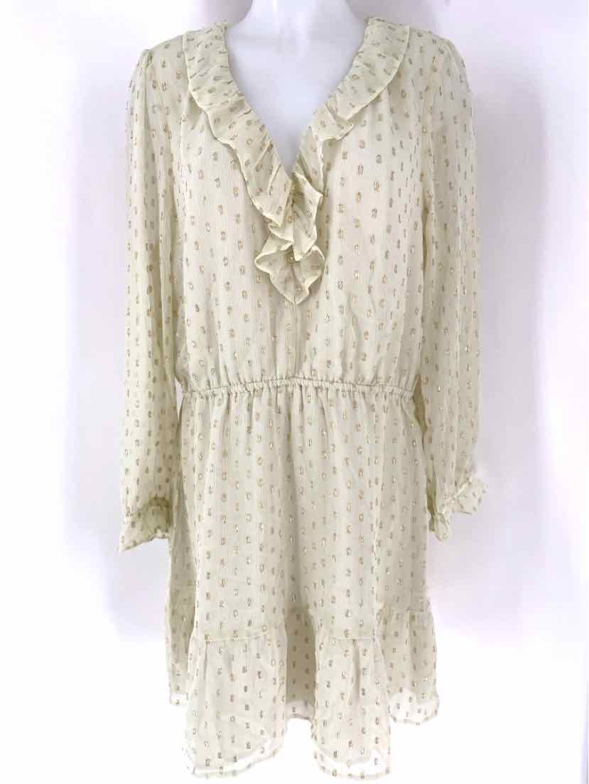 Size XL Ann Taylor Ivory Dress