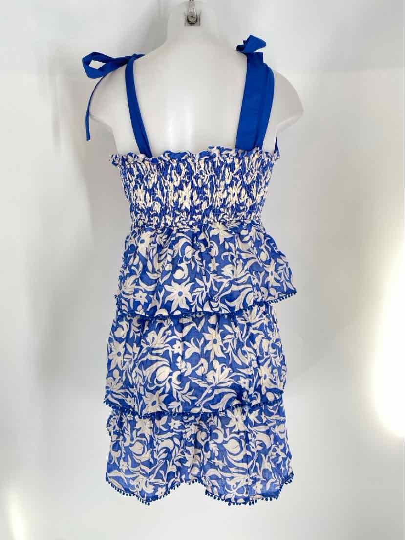 Size L TCEC Blue Dress