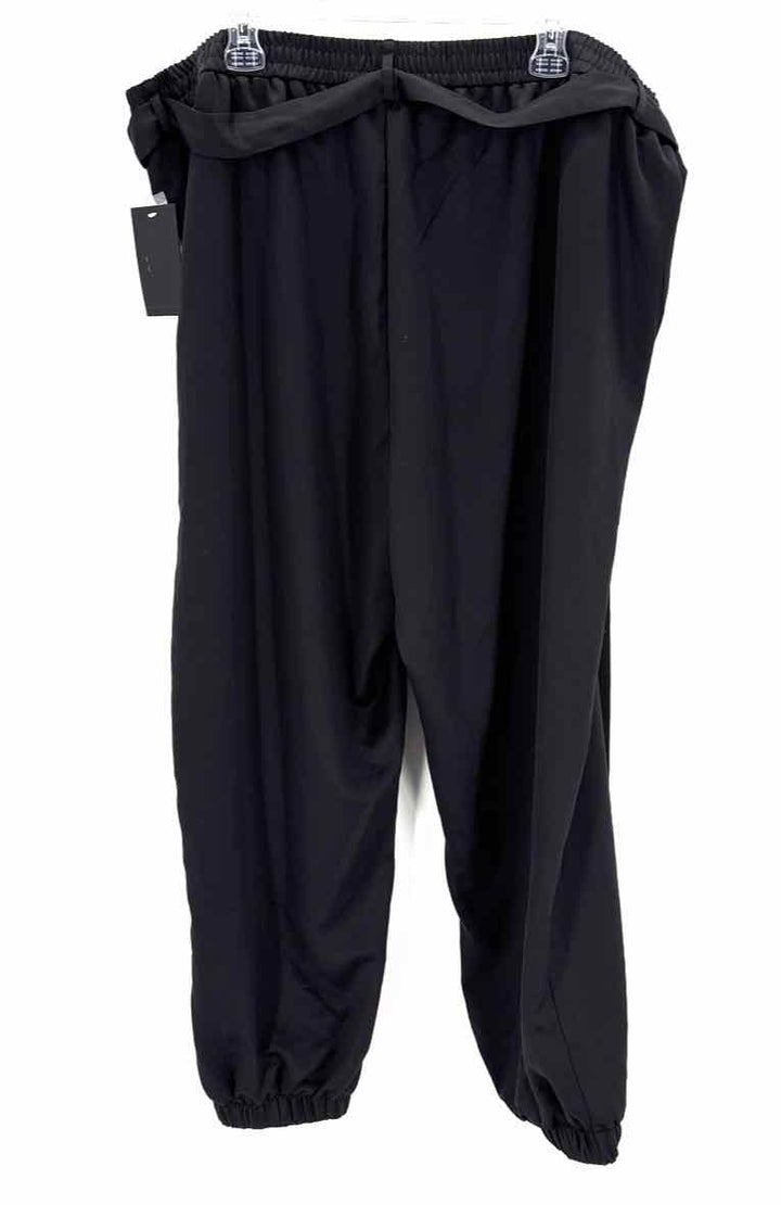 Size 3X THE LIMITED Black Pants
