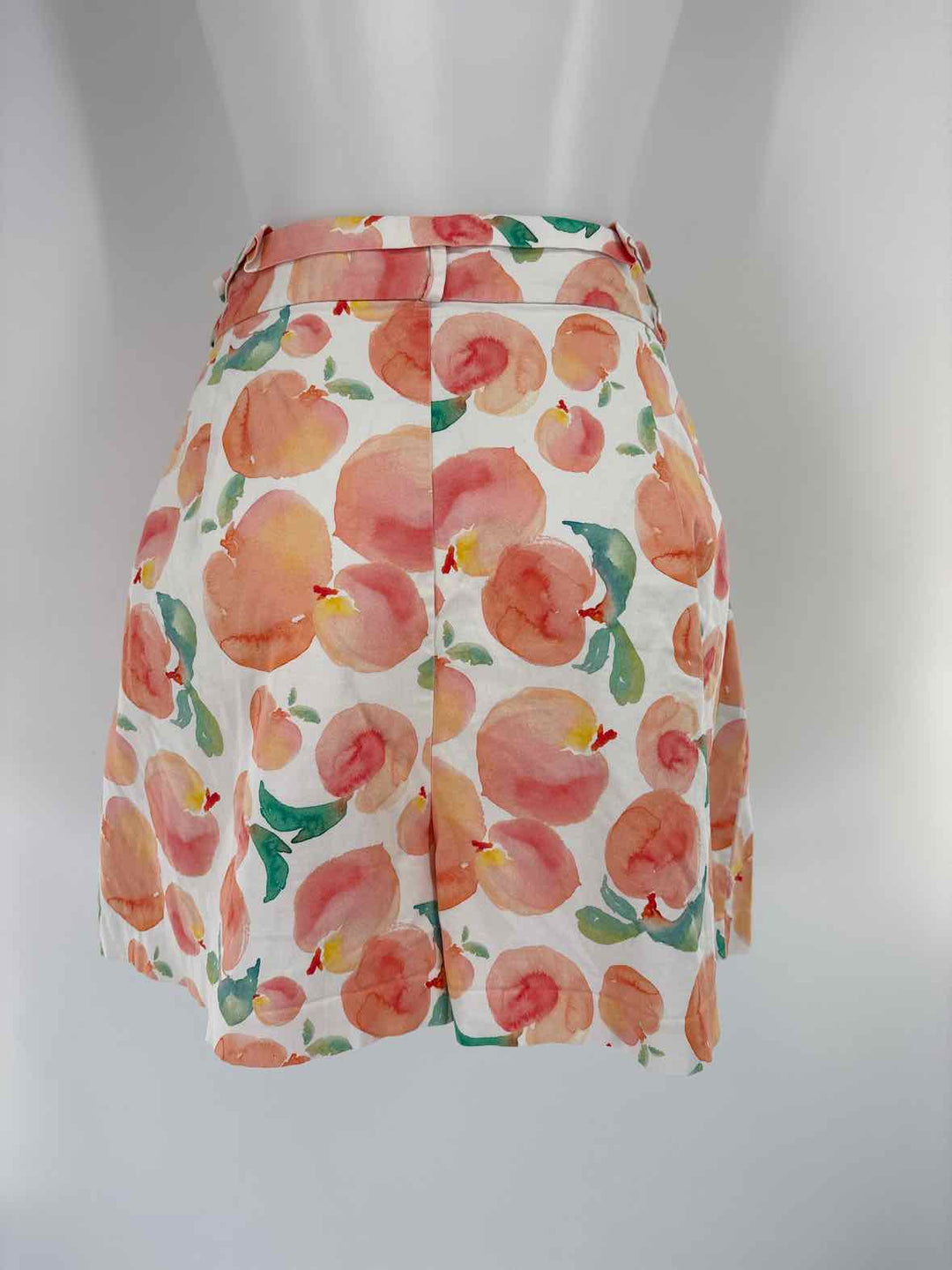 Size 20 HUTCH Peach Shorts
