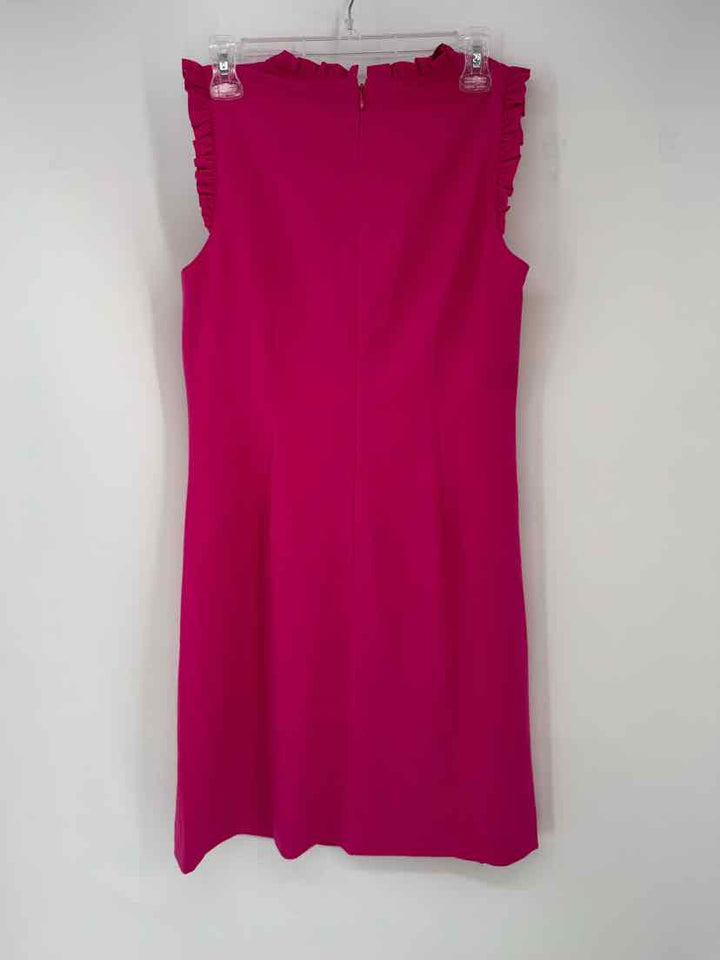 Size 8 J Crew Pink Dress