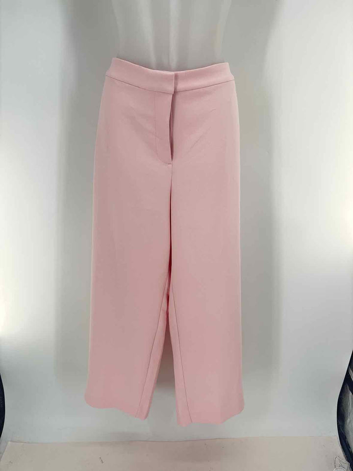 Size 18 Chico's Pink Pants