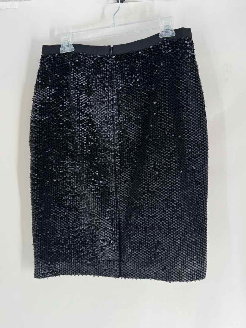 Size 10 Ann Taylor Black Skirt