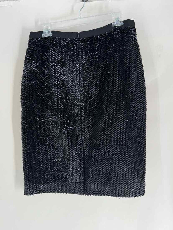 Size 10 Ann Taylor Black Skirt