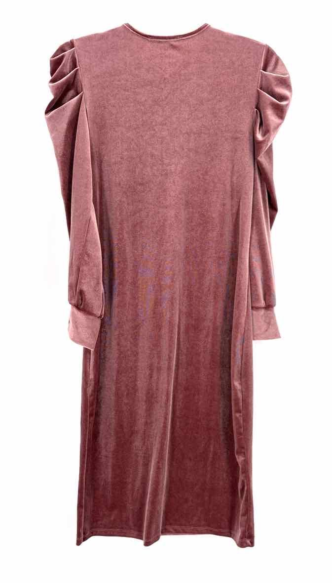Size 2 Mauve Velour Dress