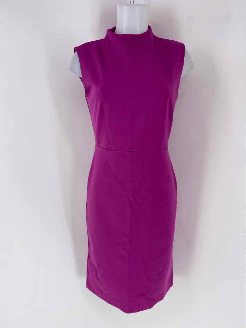 Size 2 Ann Taylor Fuschia Dress