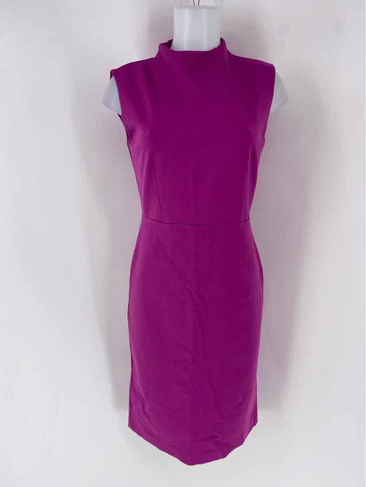 Size 2 Ann Taylor Fuschia Dress