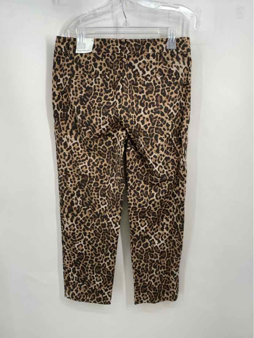 Size 8 LOFT Brown Pants