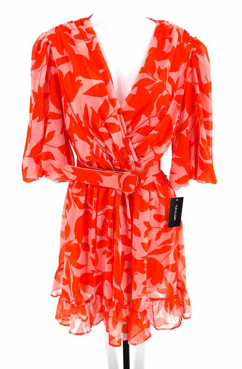 Size 8 TAYLOR Multi-Color Dress