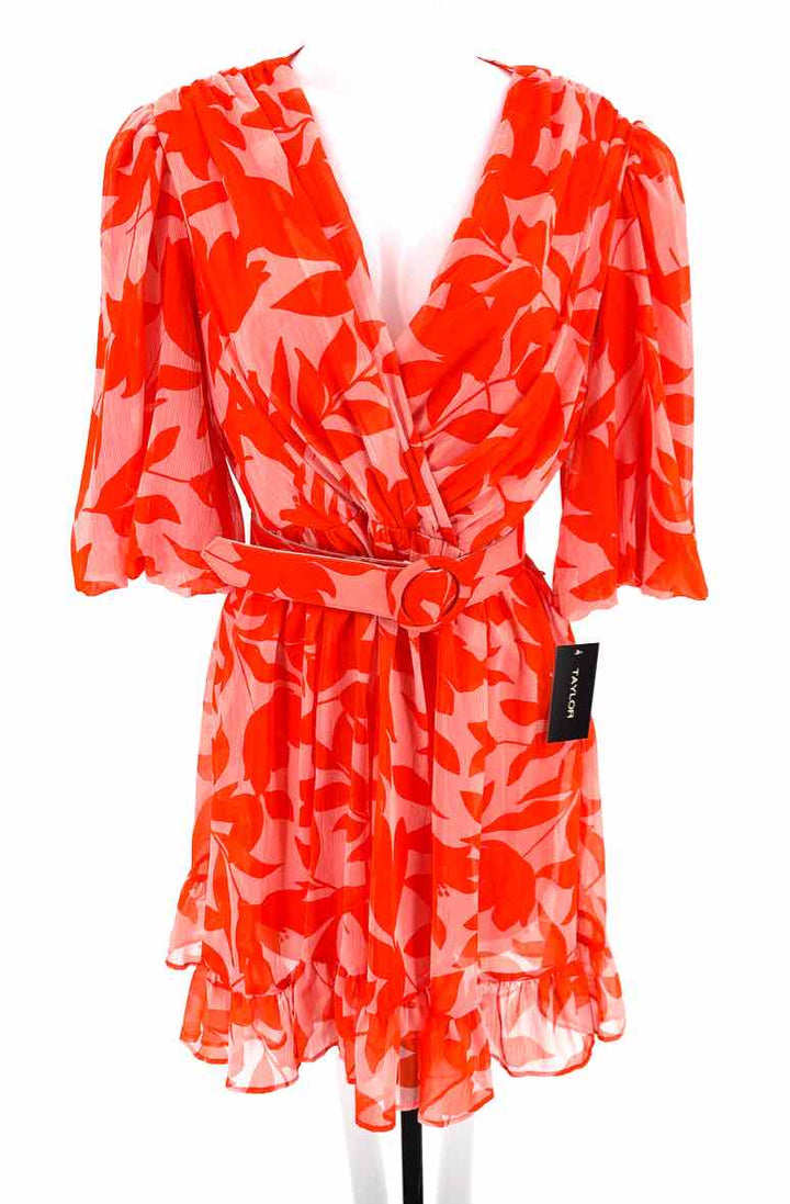 Size 8 TAYLOR Multi-Color Dress