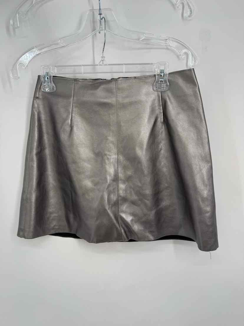 Size M Bailey Silver Skirt