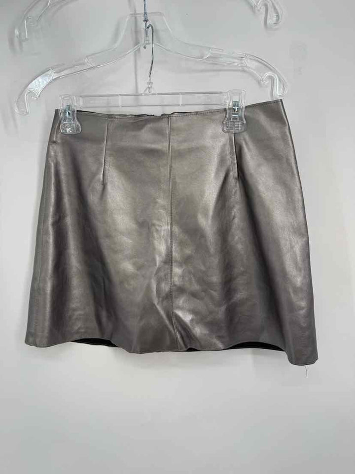 Size M Bailey Silver Skirt