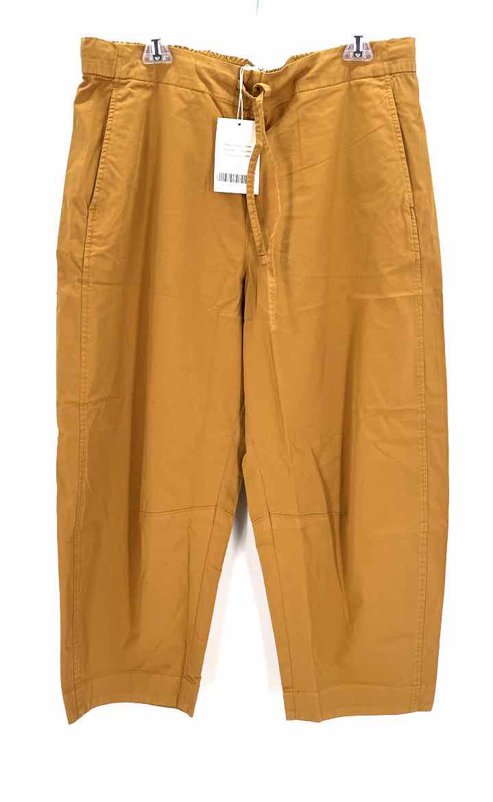 Size XL EVERLANE Tan Pants