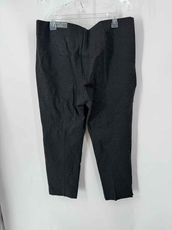 Size L Chico's Gray Pants