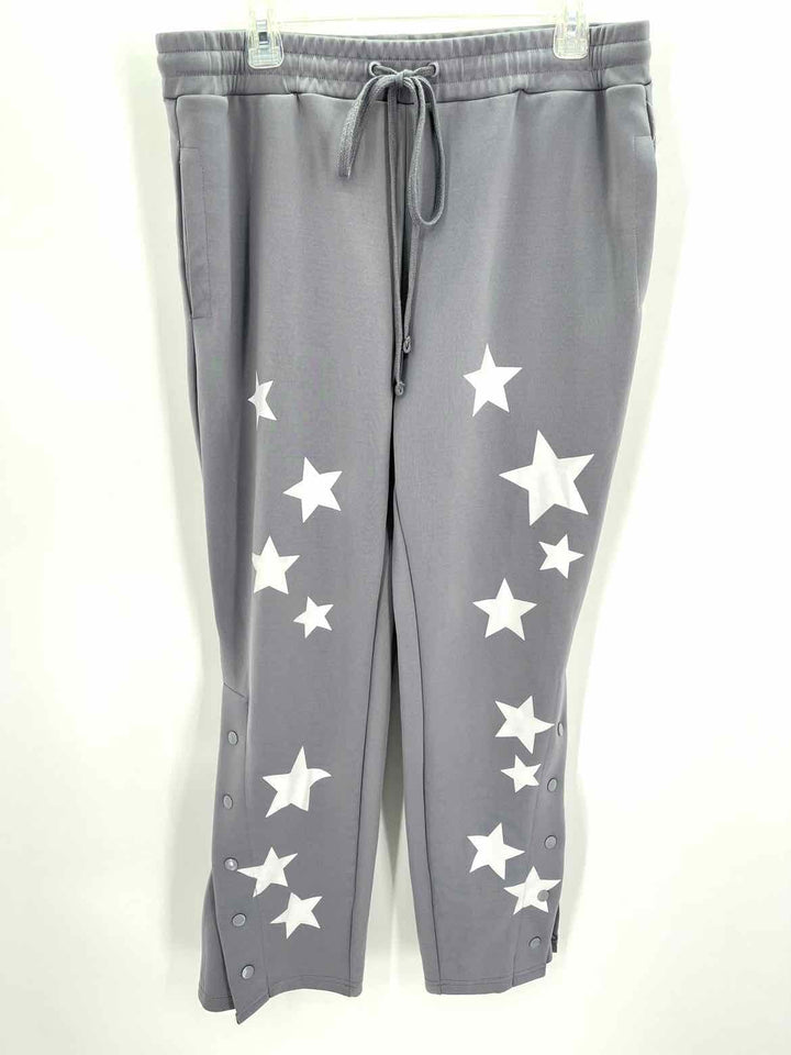 Size L Gray Pants
