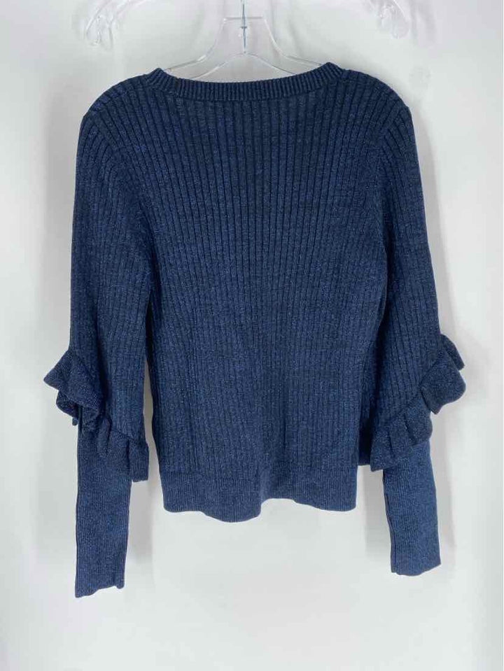 Size L TAHARI Blue Sweater