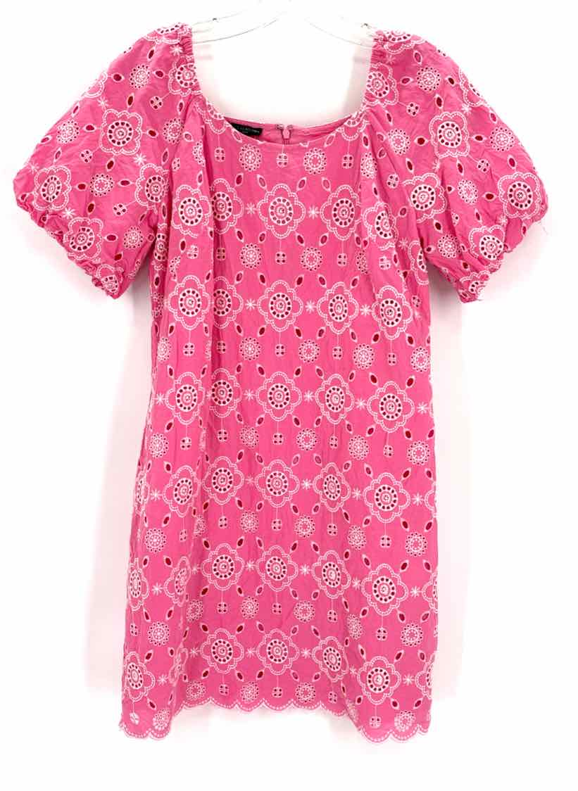 Size 6P Talbots Pink Dress