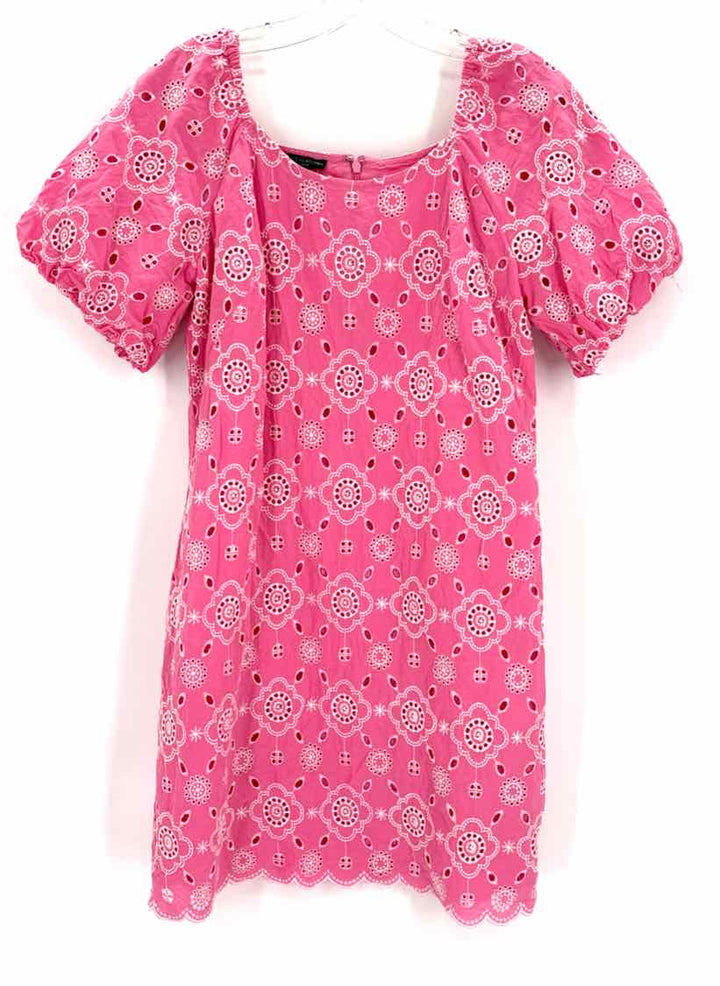 Size 6P Talbots Pink Dress