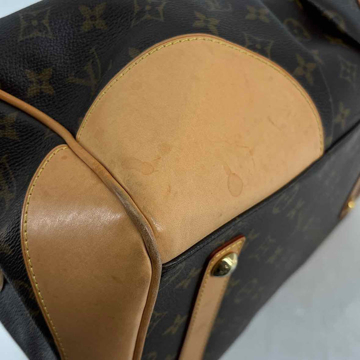 Louis Vuitton Luxury - Purse