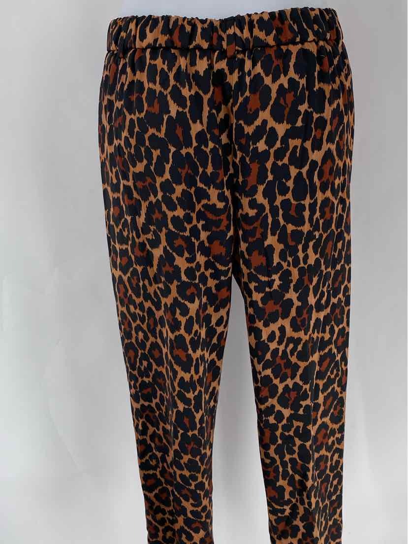 Size 4 J Crew Tan Pants