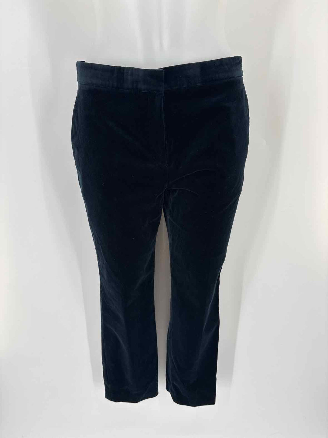 Size 2 THEORY Navy Velour Luxury - Pants
