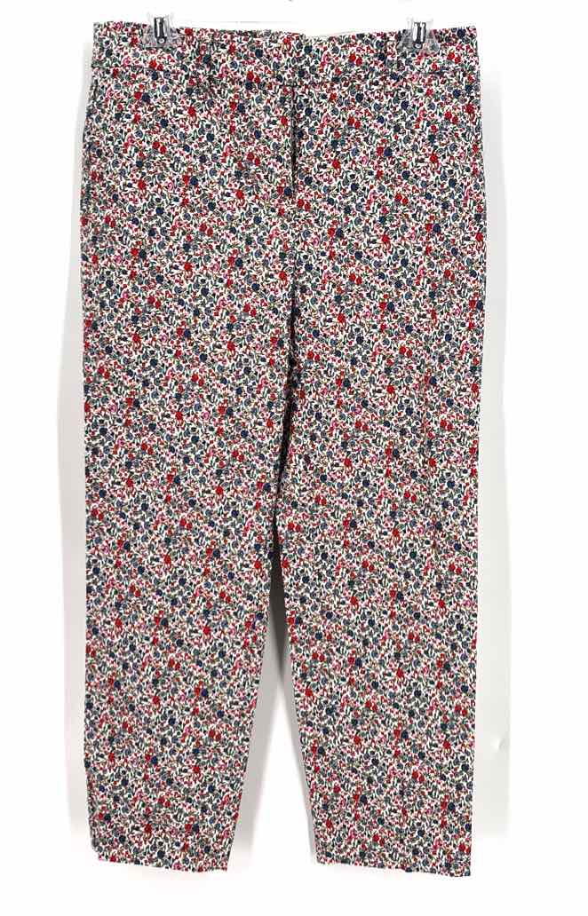 Size 4 Ann Taylor Multi-Color Pants