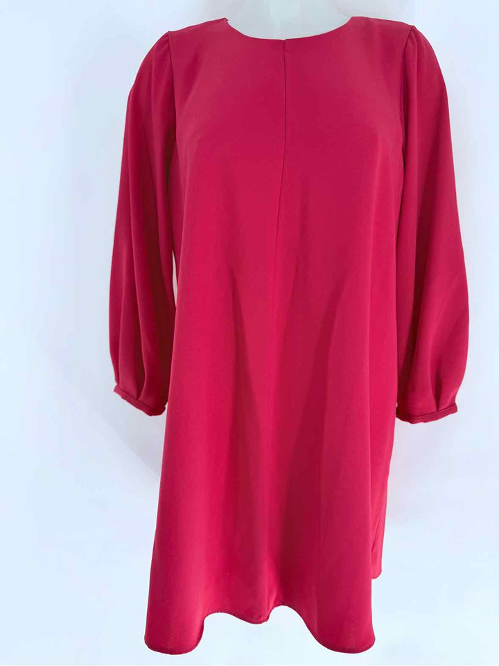 Size S ZARA Pink Dress