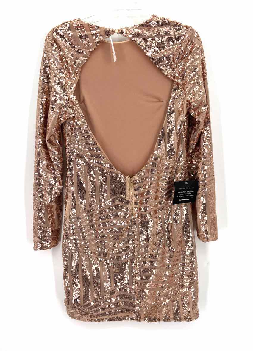 Size L Rose Gold Sequined Dress