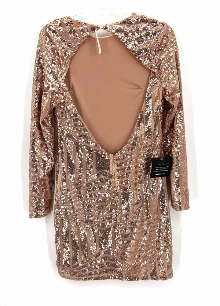 Size L Rose Gold Sequined Dress