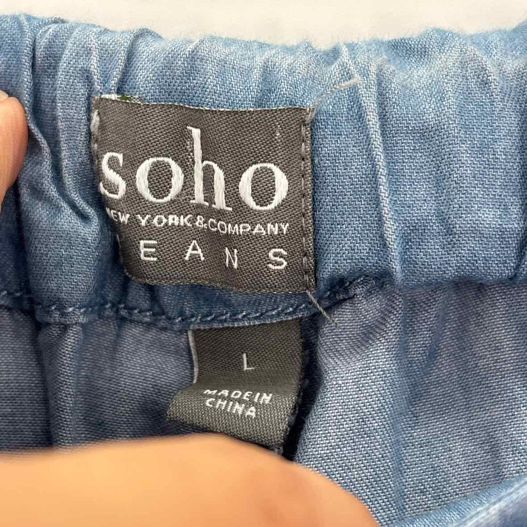 Size L NY & CO Blue Chambray Pants