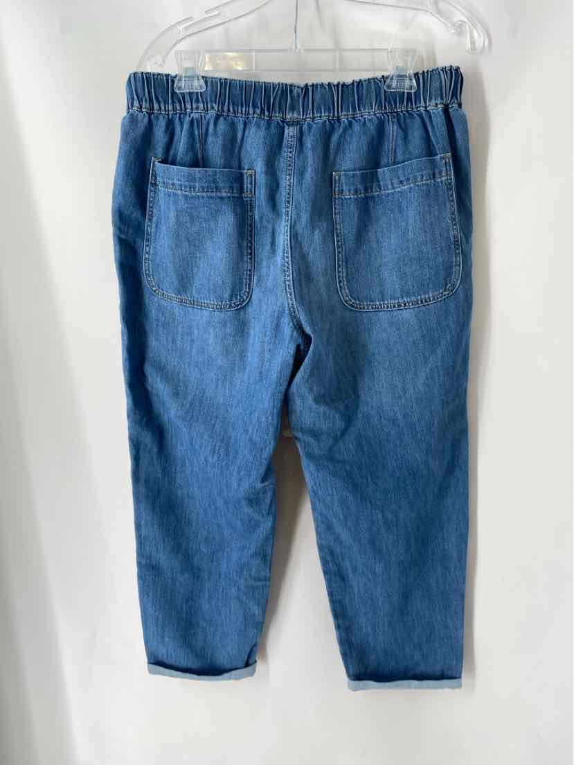 Size 29 J Crew Denim Pants