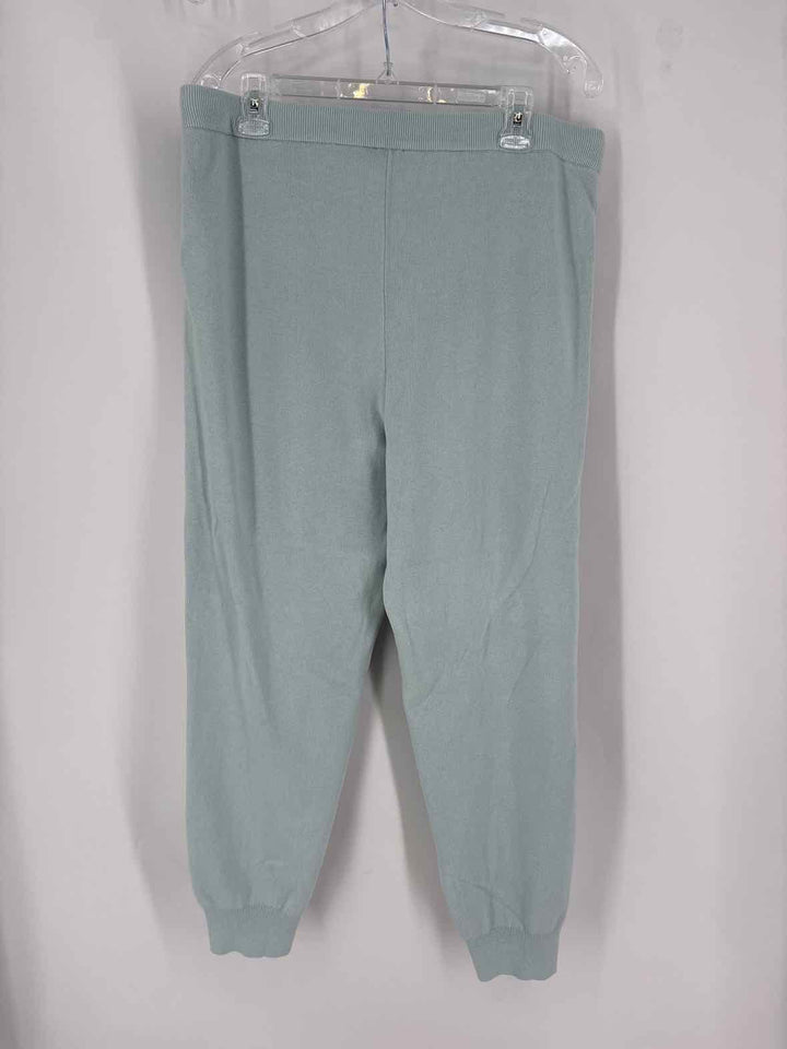 Size L Chico's Teal Pants