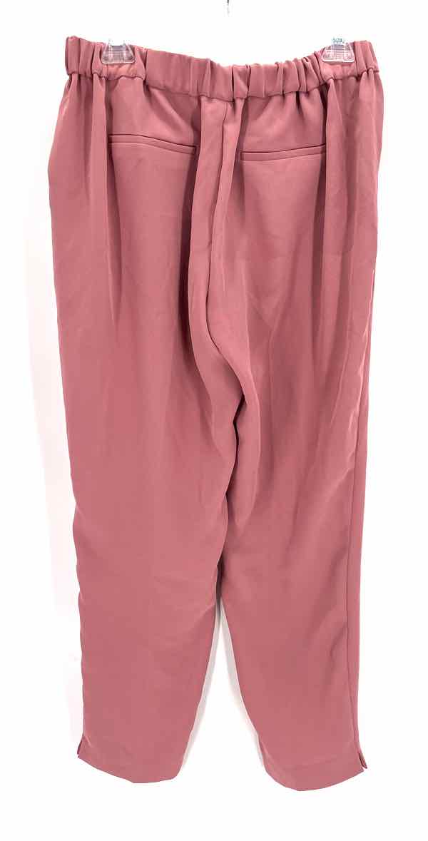 Size 8 J Crew Pink Pants
