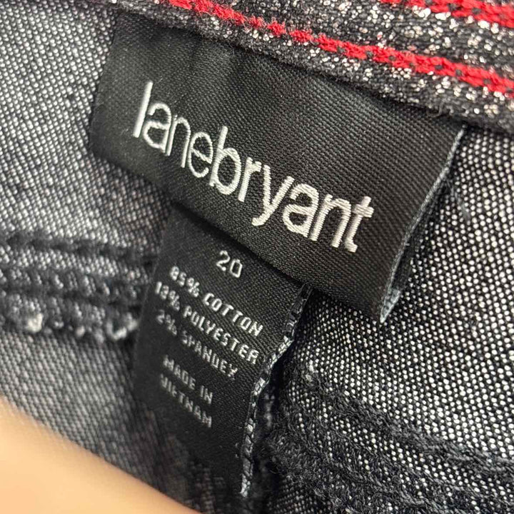 Size 20 LANE BRYANT Multi-Color Skirt