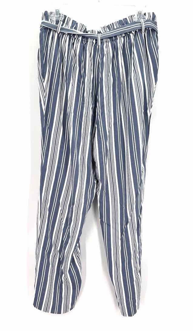 Size L LOFT Blue Pants