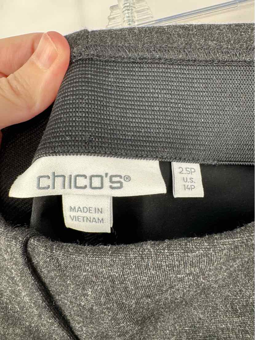 Size L Chico's Gray Pants