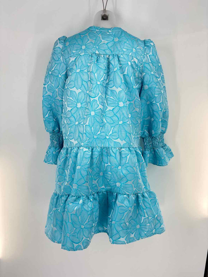 Size L POMANDER PLACE Blue Print Dress