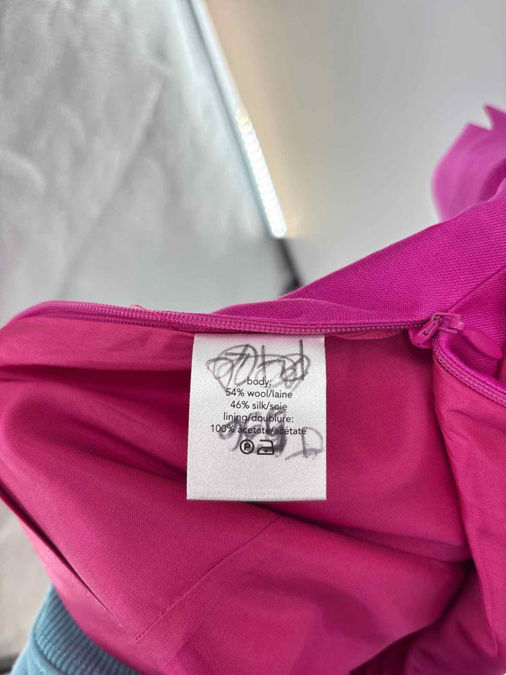 Size 4 Fuschia Sateen Shorts