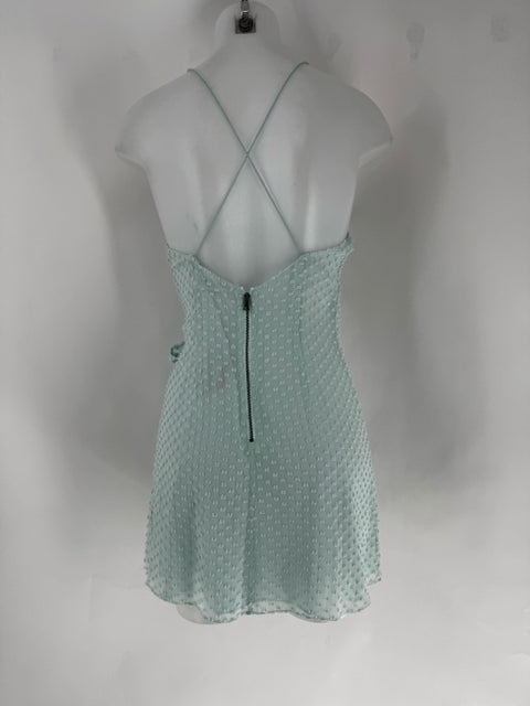 Size 6 Alice + Olivia MINT Dress