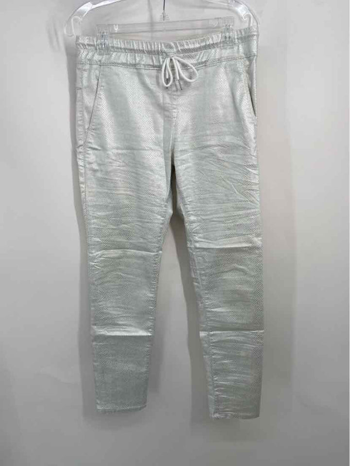 Size 30 Silver Pants