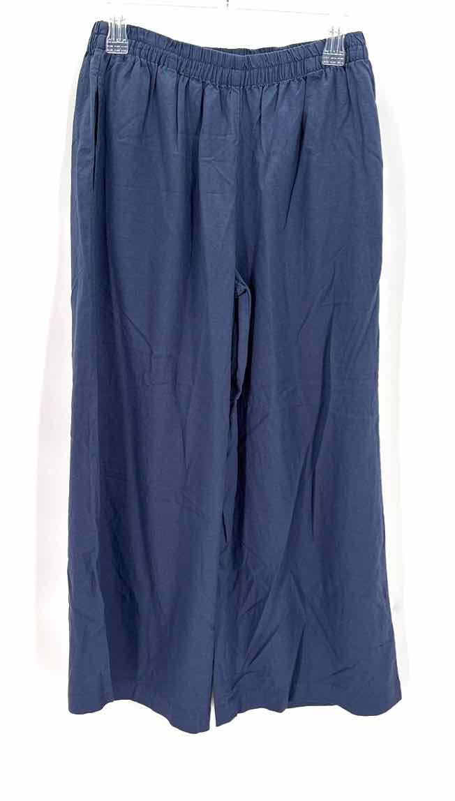 Size M Z SUPPLY Blue Pants
