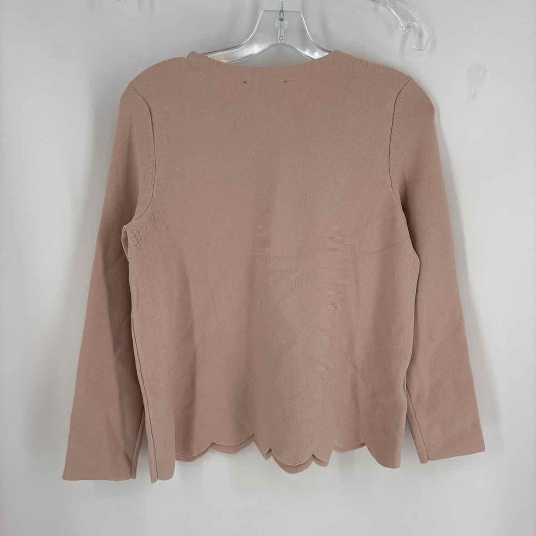 Size S Ann Taylor Pink Sweater