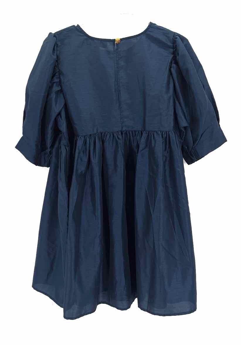 Size L Target Navy Dress