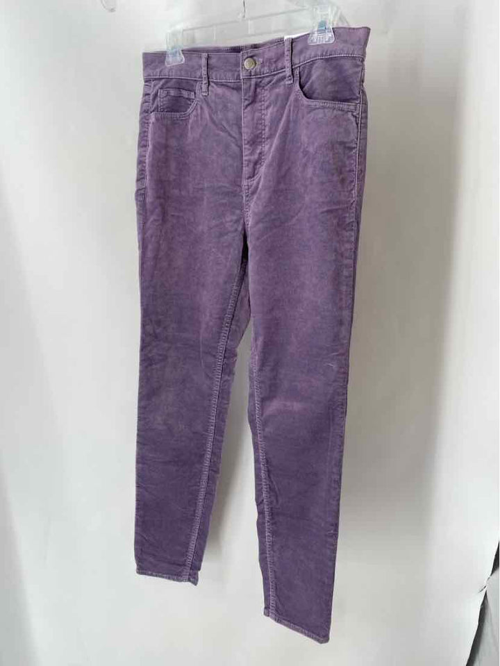 Size 8 LOFT Purple Pants